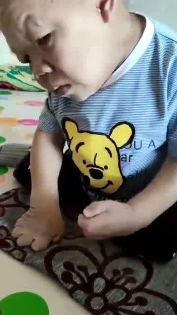 凶神恶煞贴家门,揭秘背后的动物谜团与文化寓意 凶神恶煞贴家门,揭秘背后的动物谜团与文化寓意