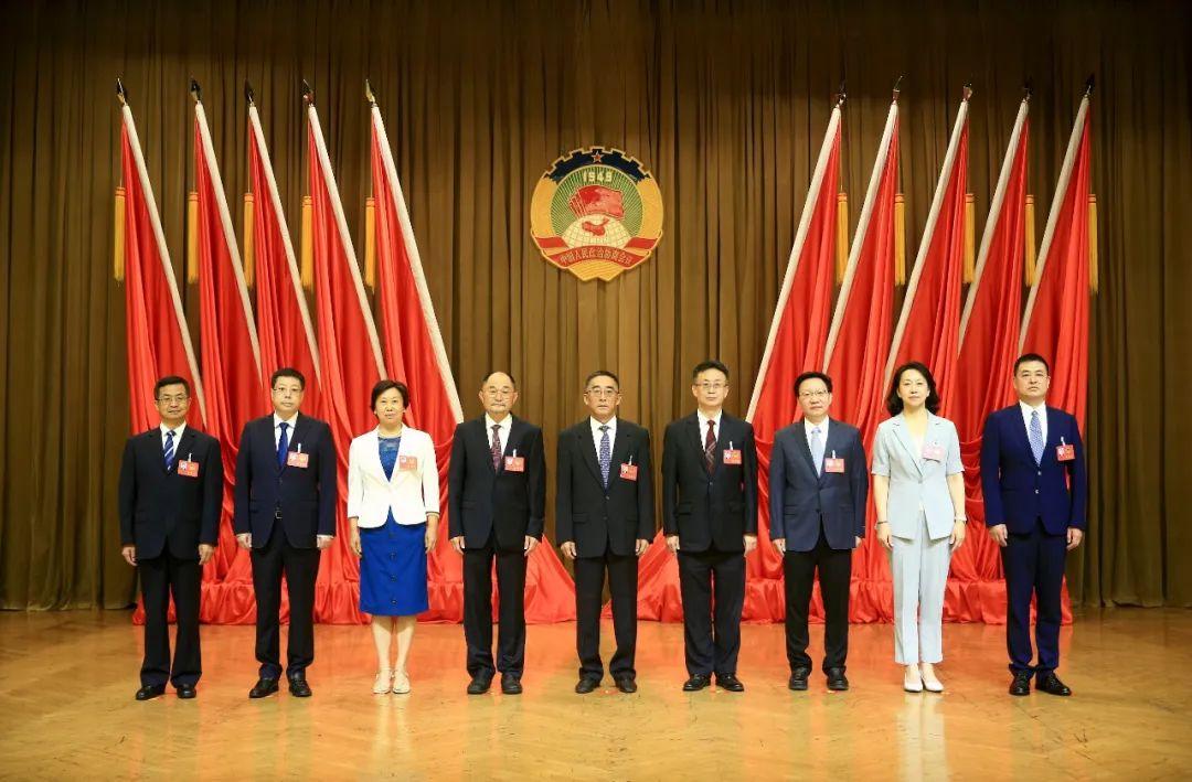 牛高马大是什么生肖，发现作答落实解释