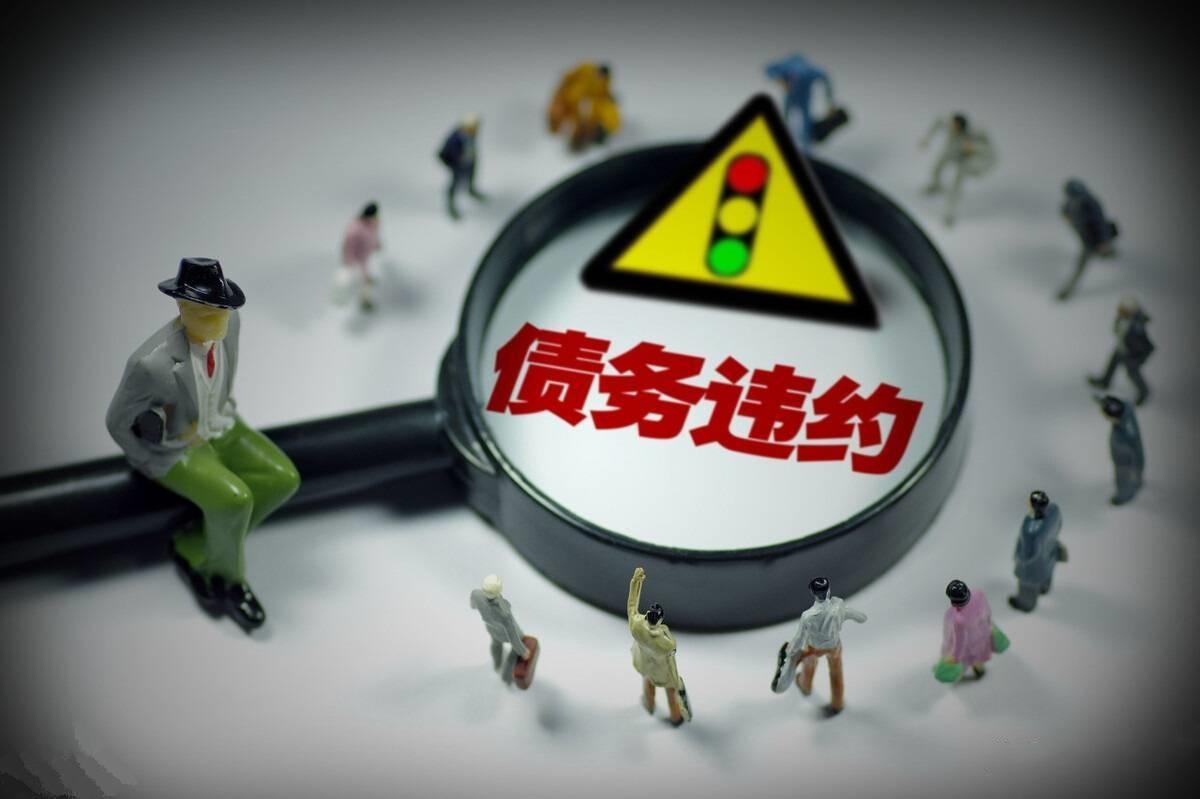 十二生肖名人对照表，揭秘背后的智慧与策略