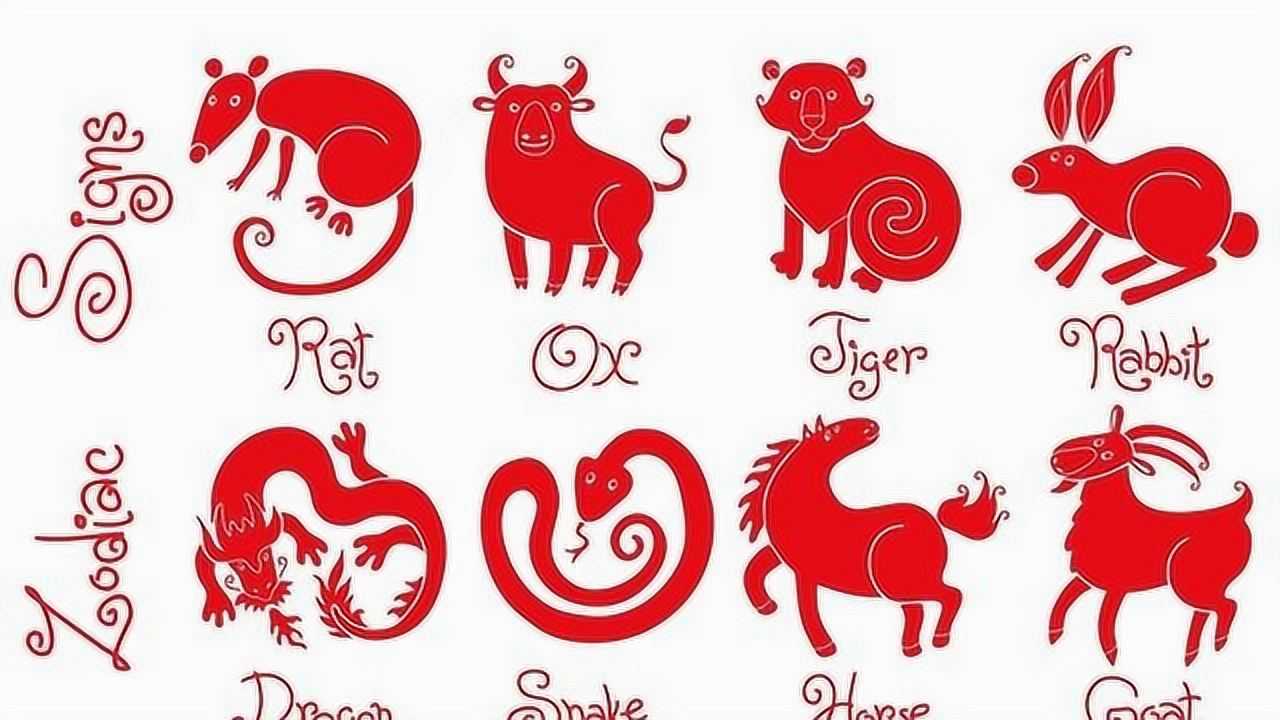 情人节代表什么生肖，非凡解释落实