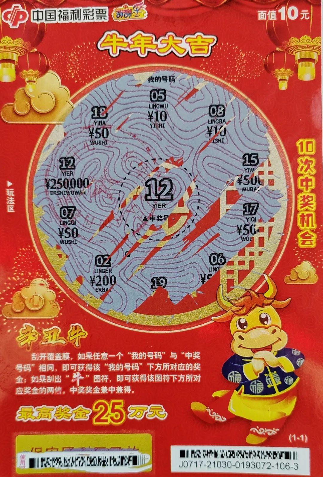 田字代表的生肖，深度解析与文化寓意