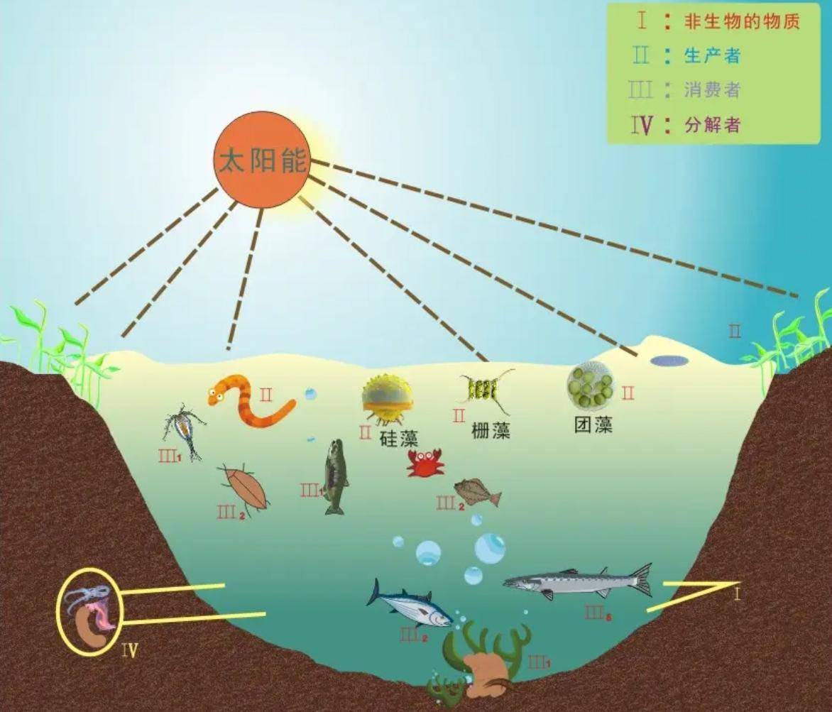 蛇为何惧螳螂，揭秘自然界的奇妙共生与相克