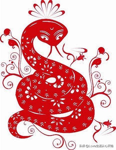 智勇双全是指什么生肖，中蕴含的哲理