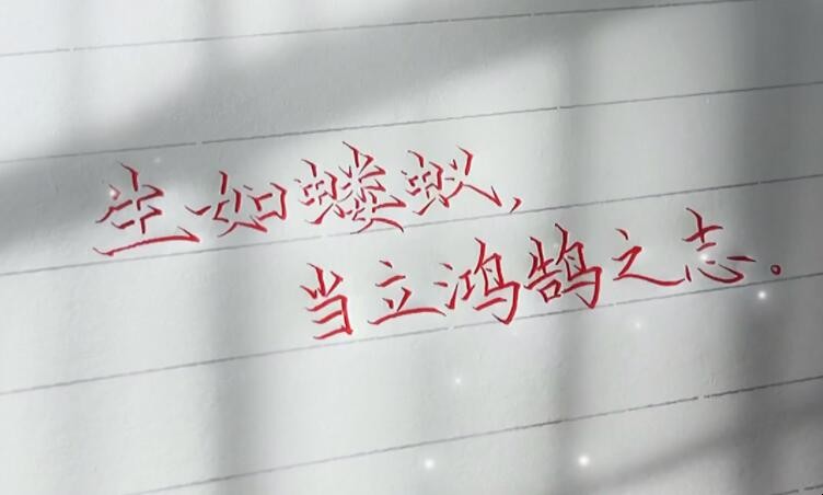 蝼蚁得志，生肖背后的寓意与人生启示