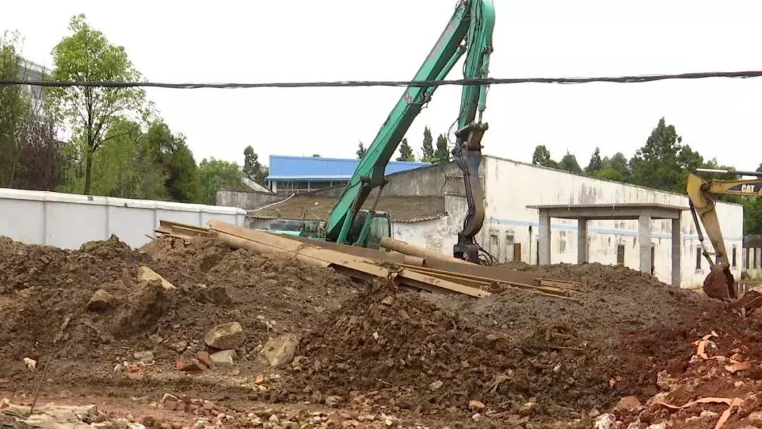 十二生肖中的土肖，文化、科学与实证的深度解析