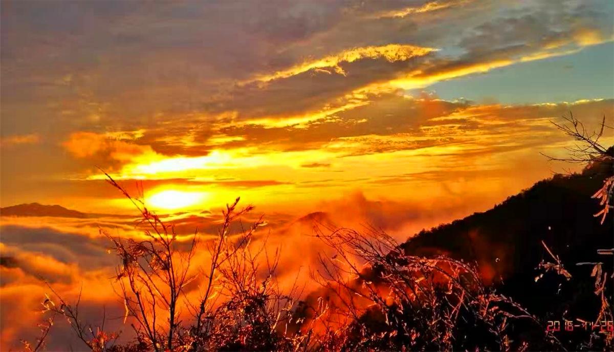 一轮红日找天边，揭秘鸡的神秘寓意