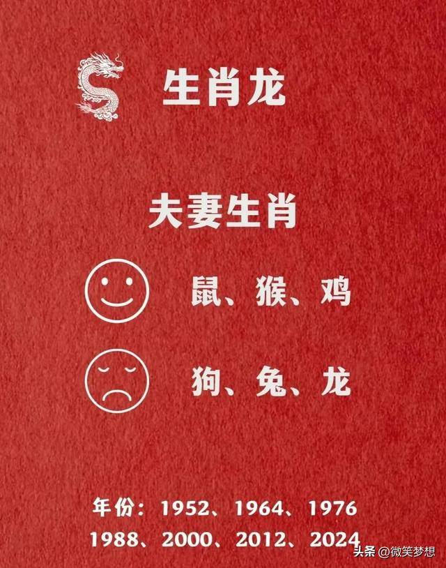 夫妻代表什么生肖,真相解释落实 夫妻代表什么生肖,真相解释落实