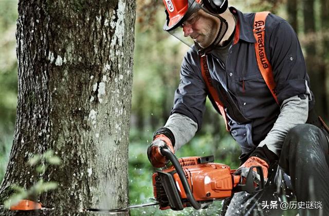 电锯开木头猜一动物?绝佳解释落实