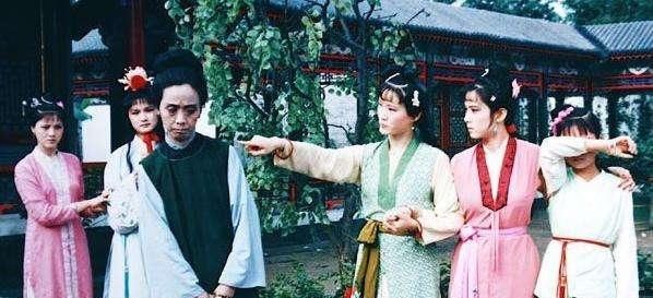 袭人故技，猜一动物—探索与自然共舞的和谐之道