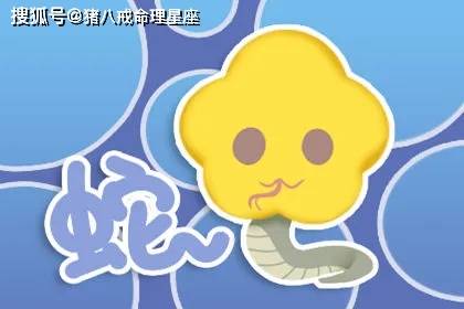 雷大雨小猜一生肖，选择解释落实