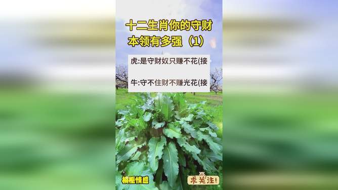 十二生肖本领强打一肖，无限解释落实