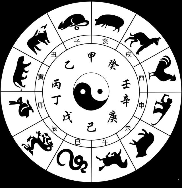 乙丑是什么生肖，实证解释落实