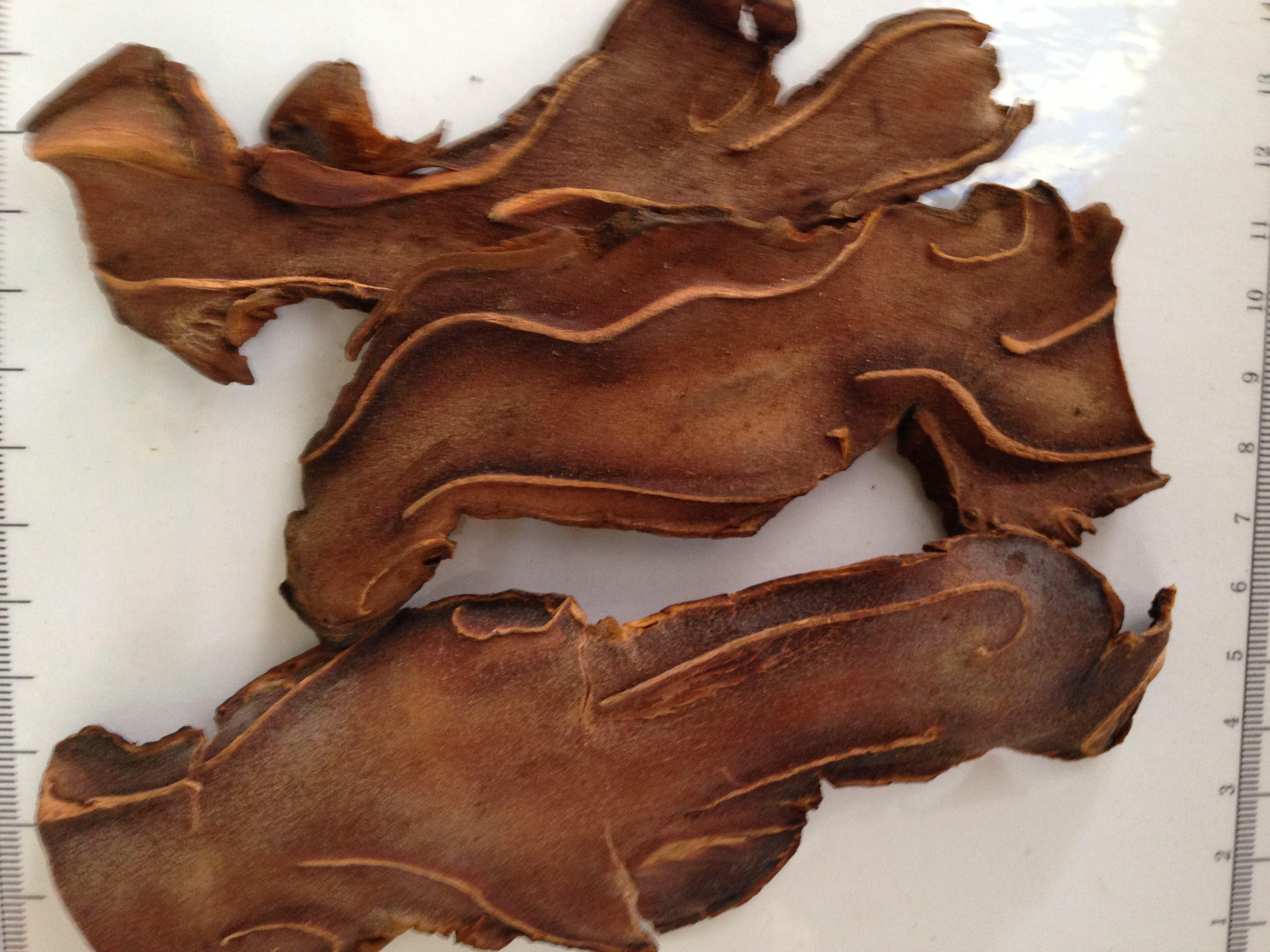 十二生肖与时辰的奇妙对应，传统文化的现代解读