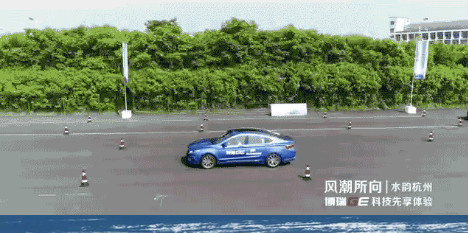 明天什么生肖相冲，一场文化与科学的碰撞