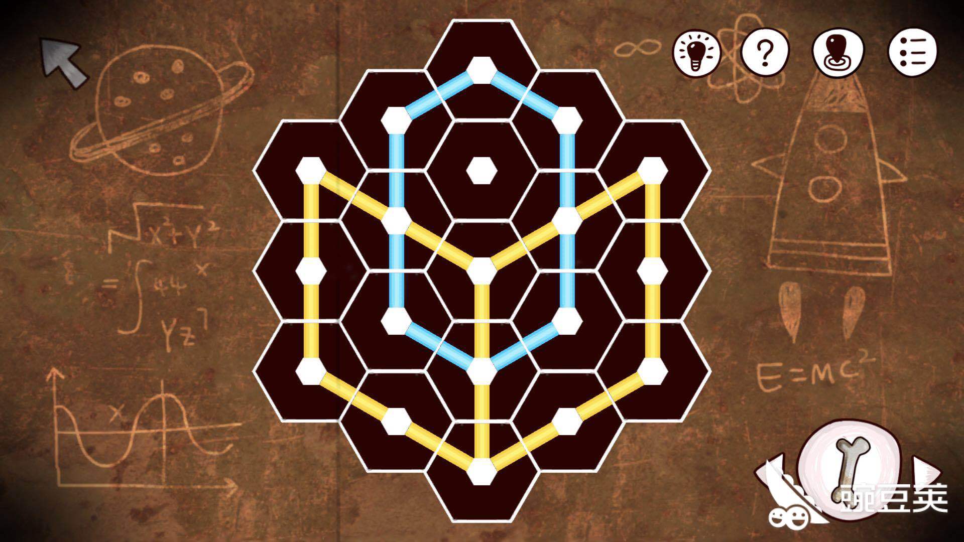 谜题揭秘，五花八门猜一动物，谁在幕后解答？