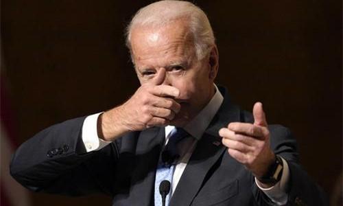 装腔作势，生肖背后的智慧与哲理