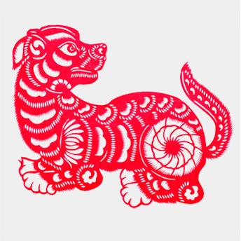 老是什么生肖，揭秘如何选择并落实正确的