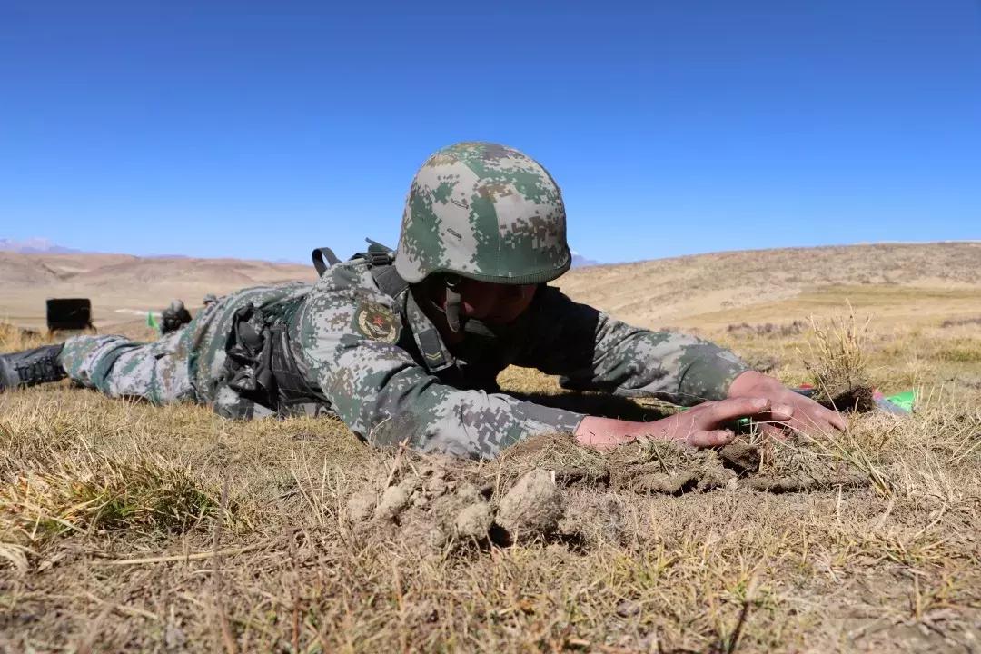 生肖羊与生肖马,共舞在坚韧与不屈的旋律中 生肖羊与生肖马,共舞在坚韧与不屈的旋律中
