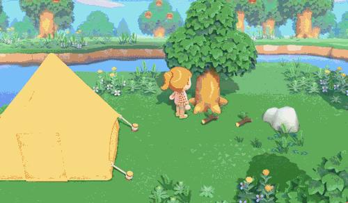 揭秘二道贩子背后的智慧,猜动物与理想作答的奇妙结合 揭秘二道贩子背后的智慧,猜动物与理想作答的奇妙结合