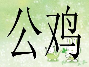 瓜熟蒂落猜一动物，自然法则下的智慧启示