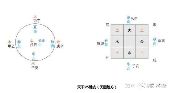 十二生肖阴阳属性，马上为你揭晓落实