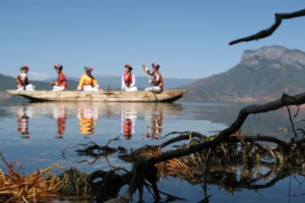 众生所归欢欢喜，生肖之谜的无限解释与落实