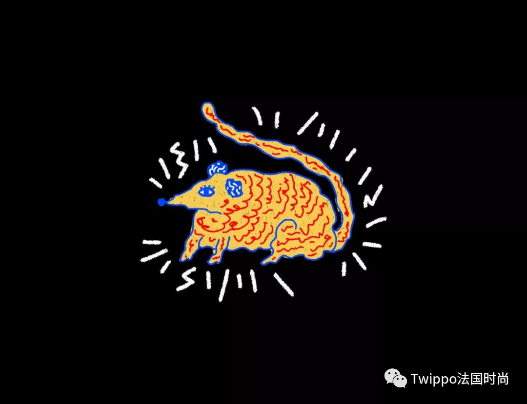 十二生肖中的无须之选，探索鼠的独特魅力与不安分精神