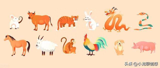 闻风丧胆的生肖与时代解释落实的智慧