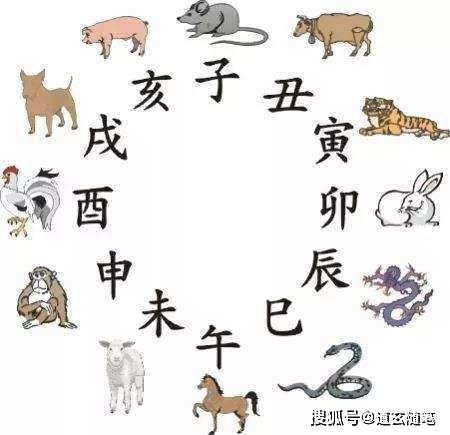 光恶不善猜一生肖，热议解释落实