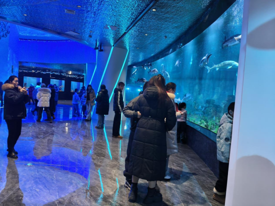 宛然如生，探寻那神秘而栩栩如生的动物—鹤