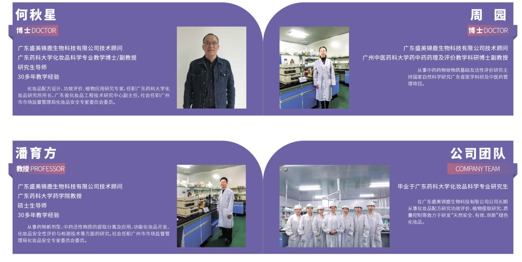 男龙配什么生肖最好，传统智慧与现代解读的融合