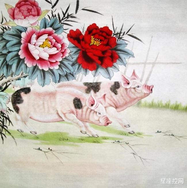 四面八方指什么生肖,的最快解答落实 四面八方指什么生肖,的最快解答落实