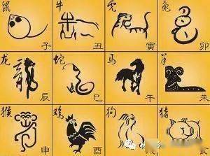 马的三合生肖,坚韧与不屈的背后 马的三合生肖,坚韧与不屈的背后