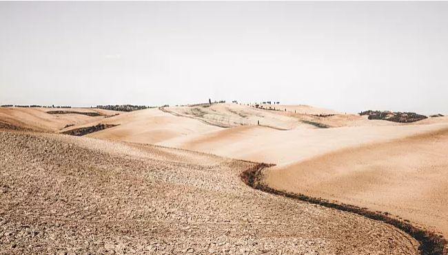 沙中土，揭秘生肖之谜与落实精神的实践