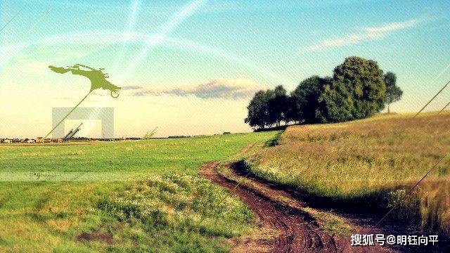 畅通无阻的生肖，详细作答落实解释