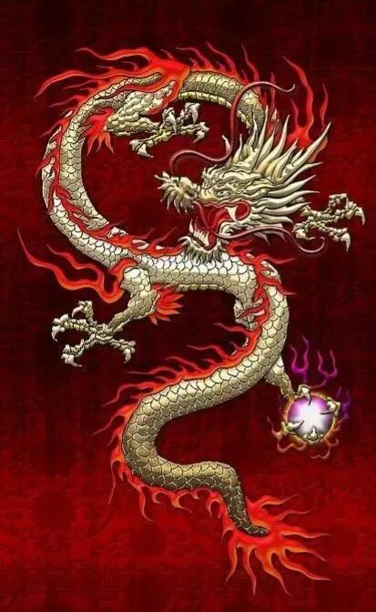 铜筋铁骨背后的智慧与策略，揭秘龙的象征意义