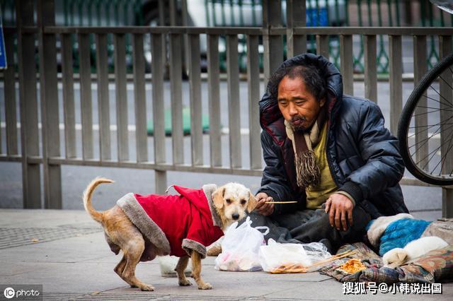 流浪汉与生肖的神秘联系，揭秘背后的文化寓意