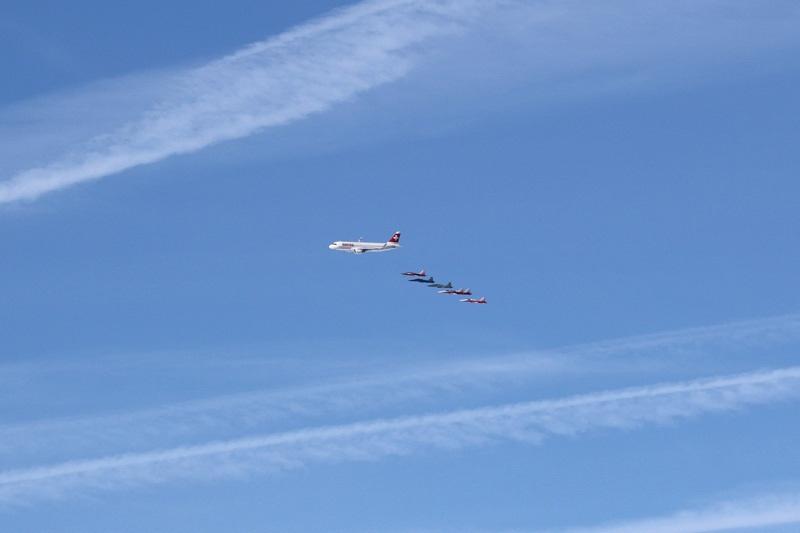 筋疲力尽猜生肖，以勤奋为翼，翱翔于成功之巅