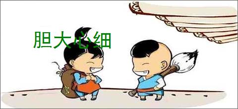 胆大心细，揭秘如何选择并落实正确的生肖策略