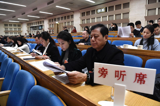 怕三怕四是猜一动物，热议作答落实解释