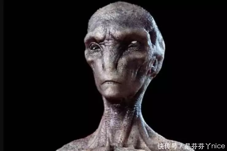 谜团揭晓，不似人形之谜—探秘生肖中的非人类存在