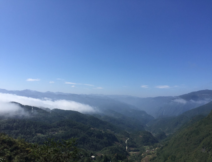 山外有山天外天，生肖之谜的深度解析
