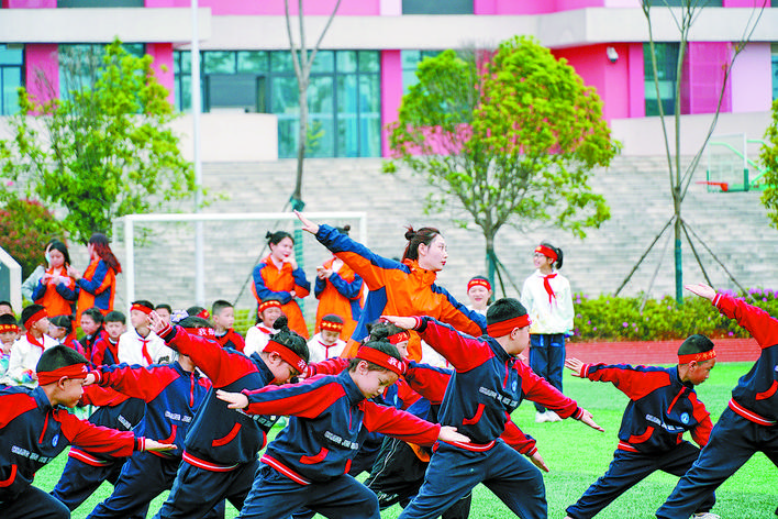 生肖猪今年运势，非凡解释与落实