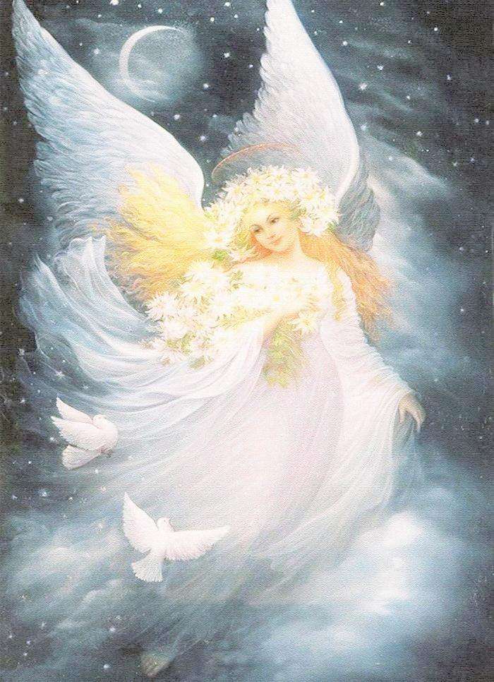 美丽天使打一正确生肖，积极解释落实