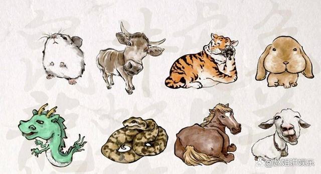 探秘生肖之谜，山珍海味与生肖的奇缘