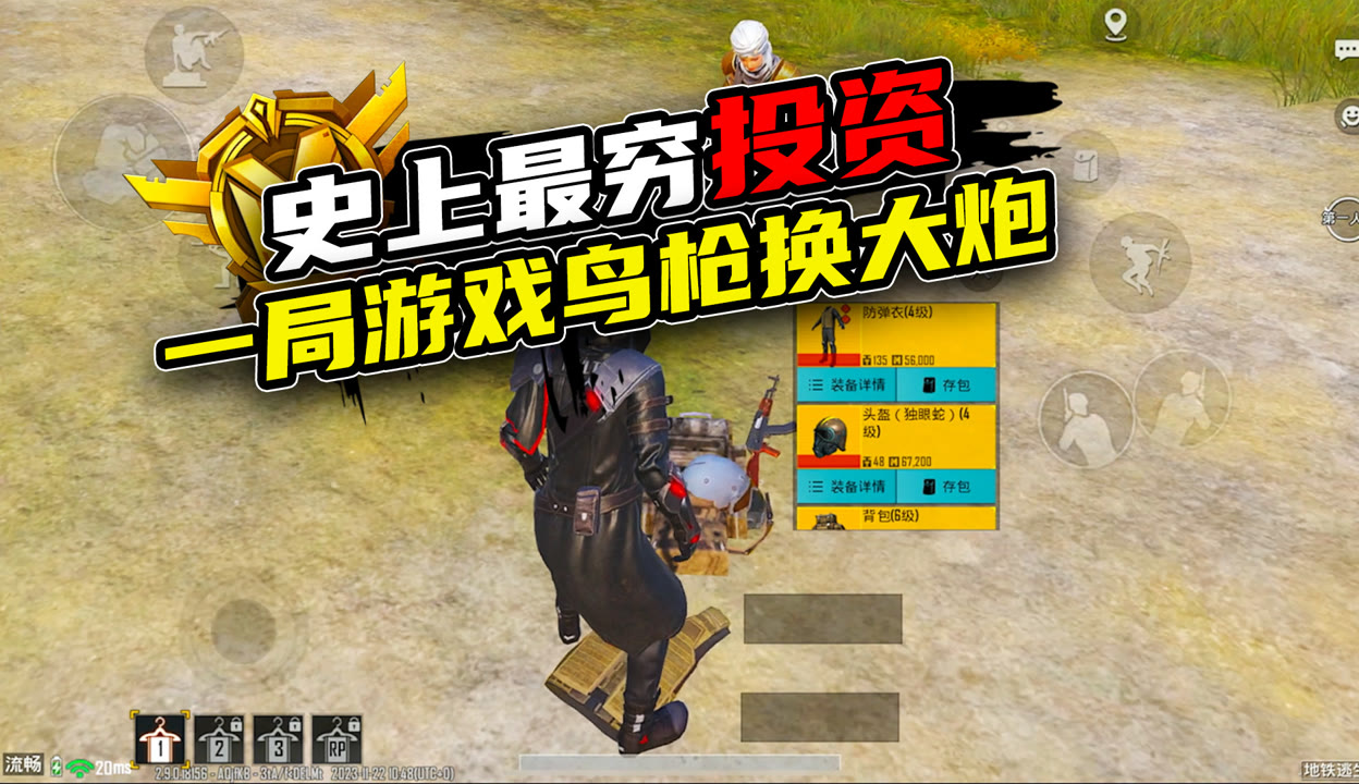 鸟枪换炮打一生肖动物，揭秘背后的文化寓意