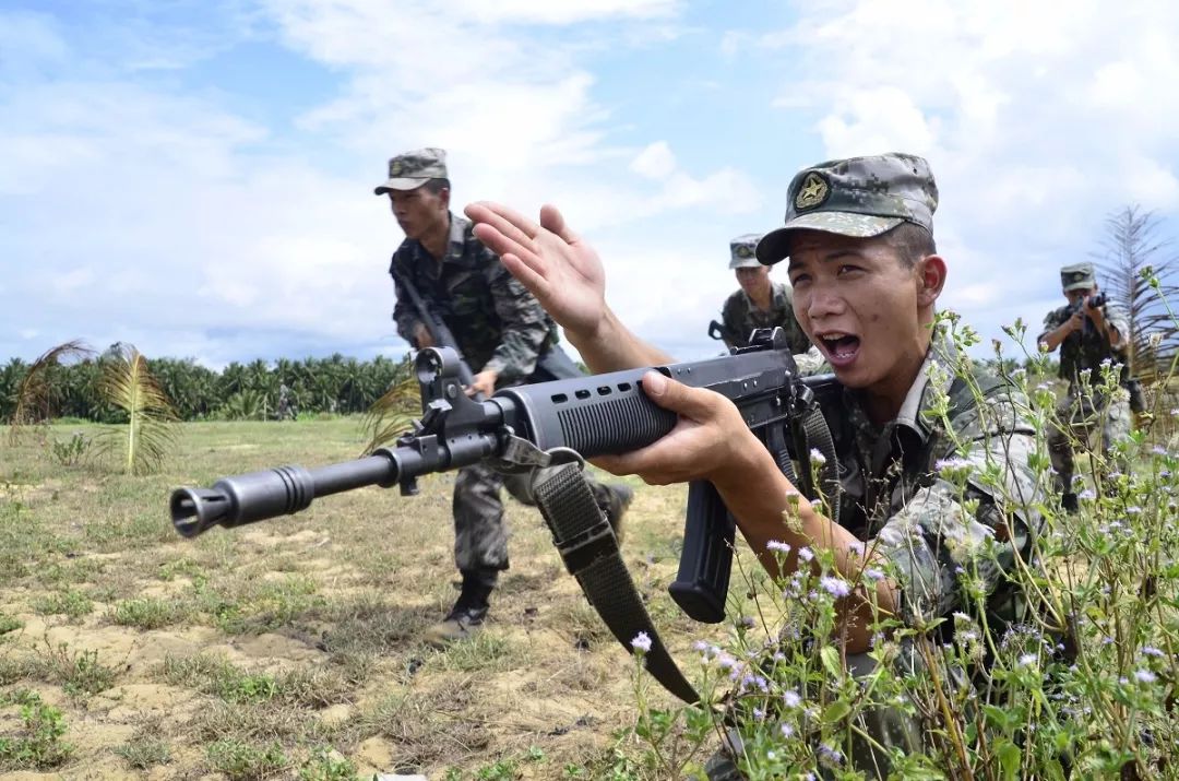 英勇善战，揭秘这一生肖的非凡特质