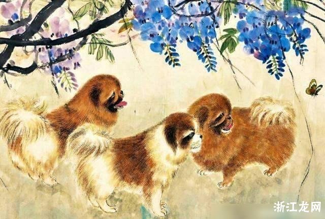 女狗与生肖配对，探寻最佳伴侣的奥秘