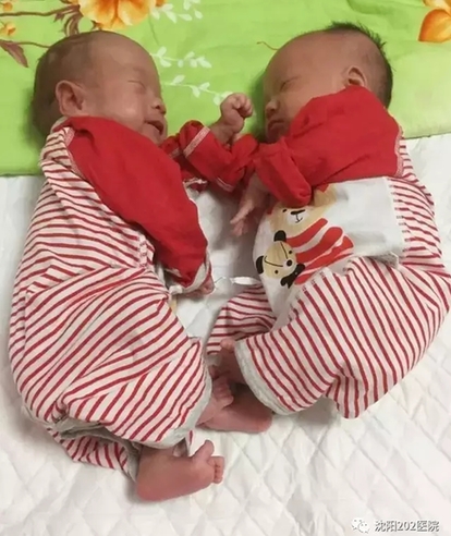 双喜临门龙凤胎，生肖文化中的独特寓意与解读