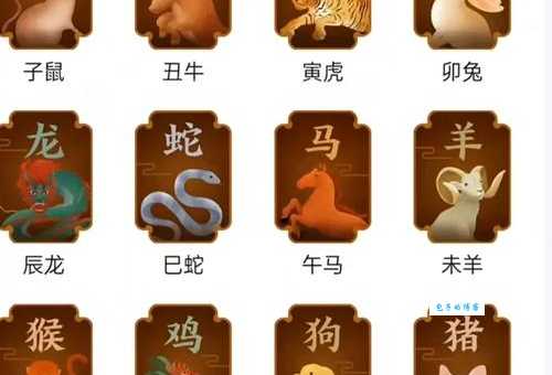 花天酒地指的是什么生肖，热议解释落实